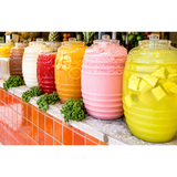 Eleganceinlife Aguas Frescas 3 gallons Vitrolero Plastic Jar Water Container New