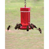 First Nature 32oz Hummingbird Feeder Red Wide Mouth Easy Clean 10 Ports (2 pack)