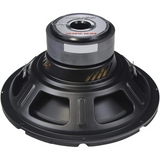 Audipipe 12" 300W RMS Power Dual 4 Ohm Voice Coils Car Subwoofer (TS-PP2 12-D4)